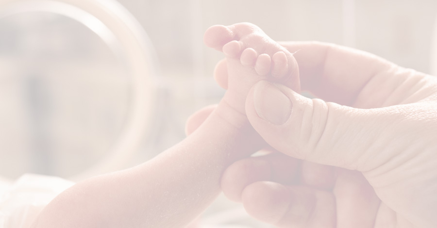 Hand of health care official reaching for  premature babys foot in incubator 
