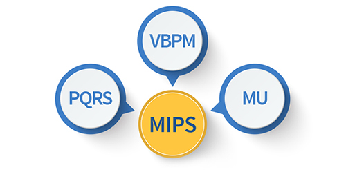 Components of MIPS
