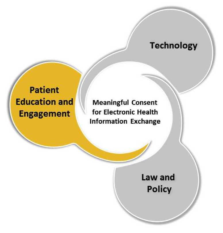hippa and information technology Oracle white paper—hitech’s challenge to the health care industry 3 introduction the health information technology for economic and clinical health act (hitech) forces health care providers and their business associates to bring a sense of urgency to. hippa and information technology Oracle white paper—hitech’s challenge to the health care industry 3 introduction the health information technology for economic and clinical health act (hitech) forces health care providers and their business associates to bring a sense of urgency to.